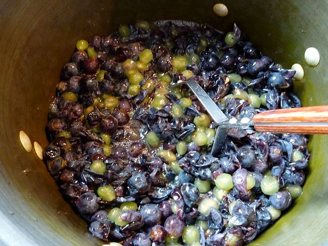 A huge bucket of purple grapes being squashed.