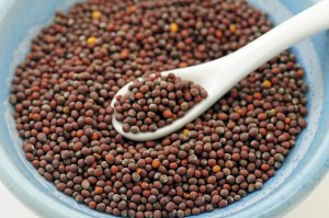 Wild mustard seed in a bowl