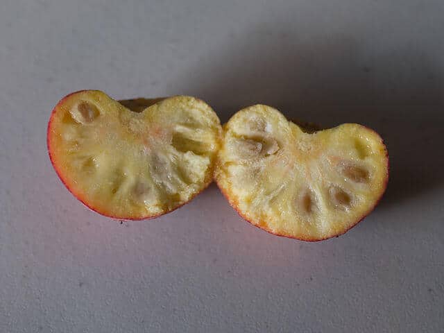 Kousa Dogwood cut in half showing yellow flesh.