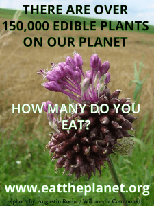 There are over 150,000 Edible plants