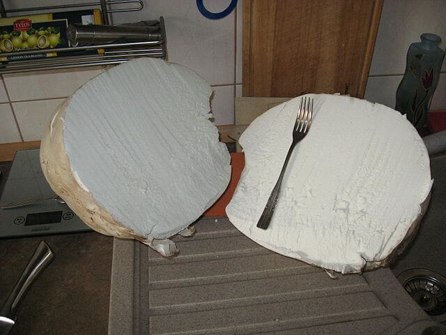 An enormous giant puffball cut in half with a fork places across the centre to show its size.