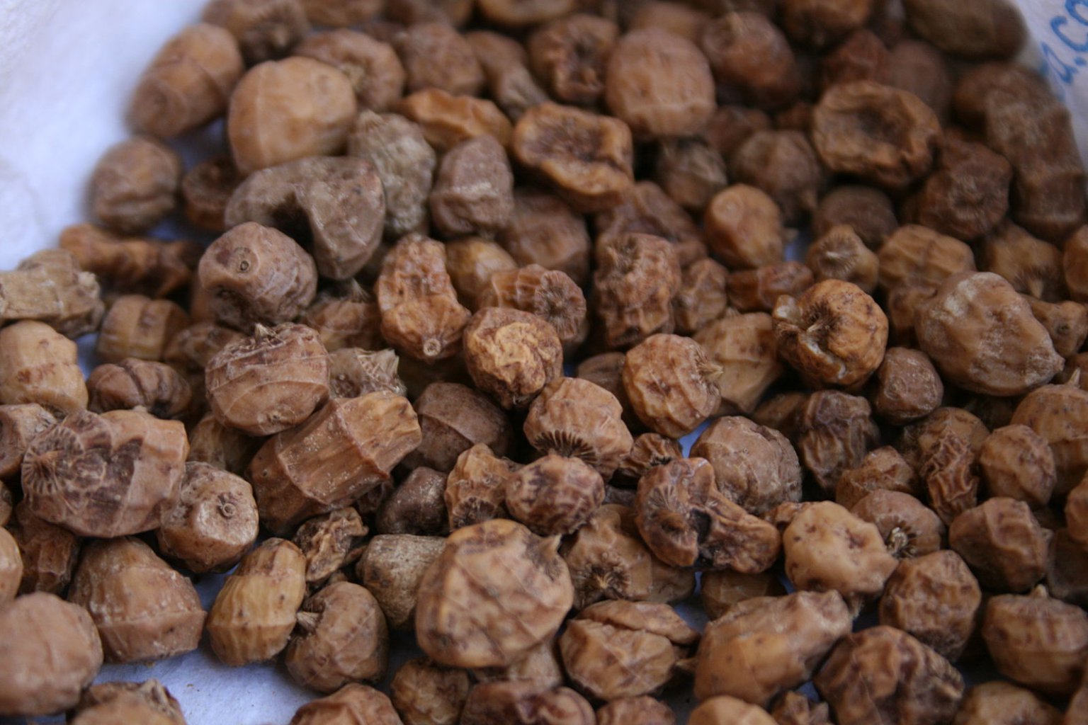 chufa-nut-grass-sweet-nutty-and-nutritious-tubers-eat-the-planet